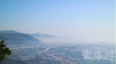 肇庆市多少人口_肇庆学院,多少人怀念你年轻时的模样(3)